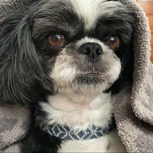 Meet your Posher, Carly